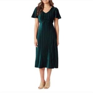 BOGO Briggs Ladies Pleated Velvet Dress NWT